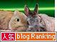 Ranking