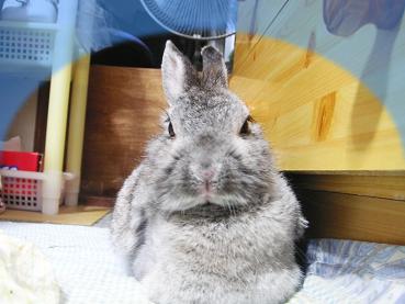 あのさぁ