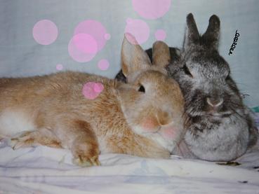 ぼっふん♪
