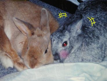 ふたりは・・・