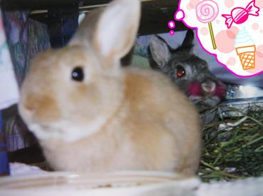 うふふふふ~♪