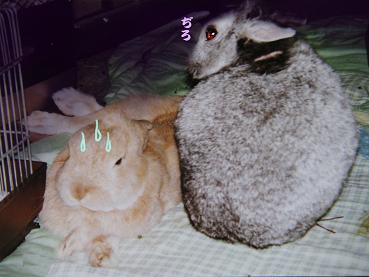 何?