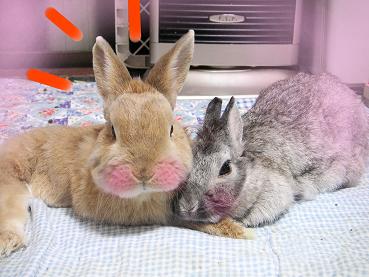 甘えっこ〜♪