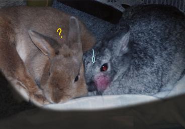 どきどき