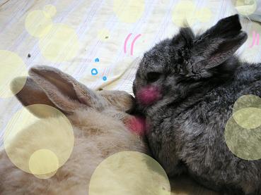 なめなめ〜♪
