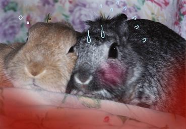 ちゃんと見なさいよっ