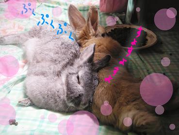 やっぱり なかよち♪