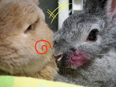 ホラでちゅ