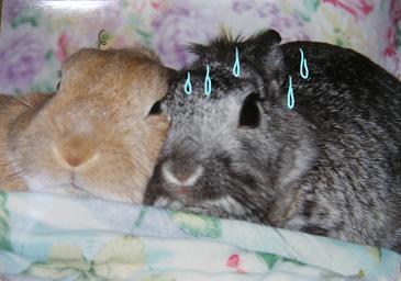 ゎゎゎゎゎゎゎゎゎゎ