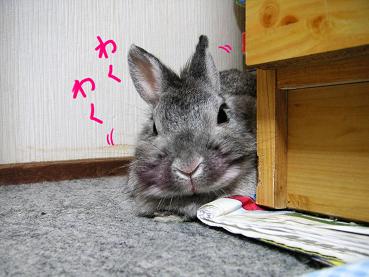 うふうふふ♪