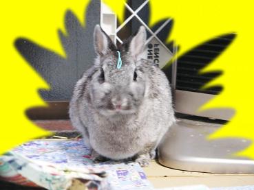 満月よっ